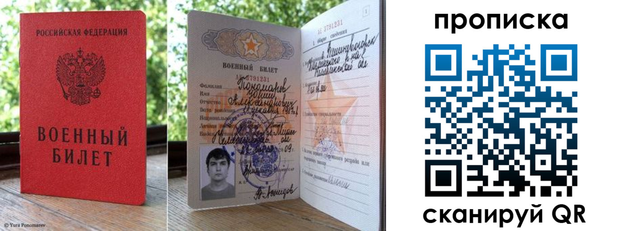 прописка паспорт в Бабаево